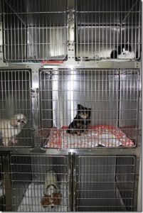 入院室