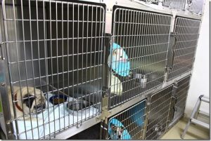 入院室